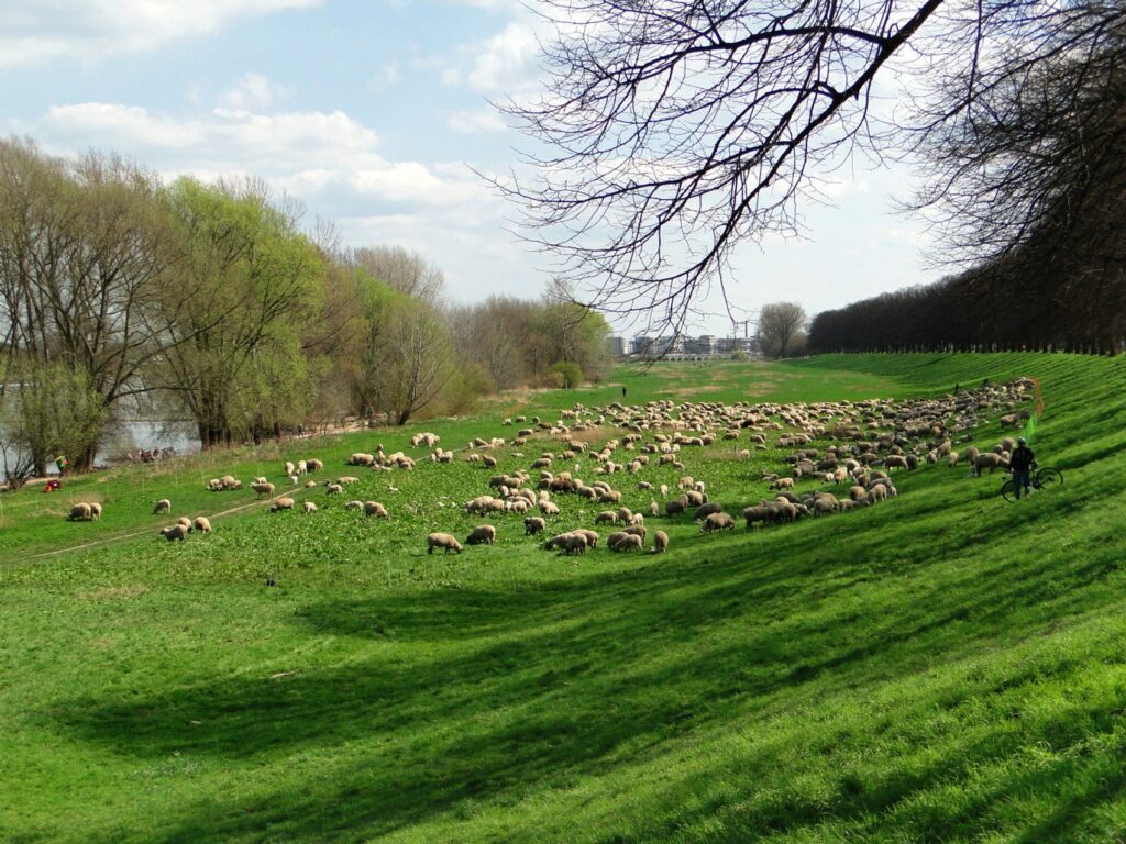 Der kleine Stadtteil am Rhein mit seinen 20.000 Einwohnern hat ein ganz eigenes Gesicht, vor allem in seinem ursprünglichen Teil, im Norden.