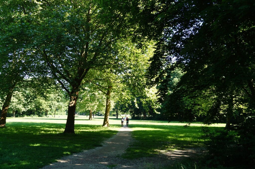 Hier befindet sich erst einmal im Süden der Nordfriedhof mit seinem großen Baumbestand und direkt daran schließt das Naturschutzgebiet an.