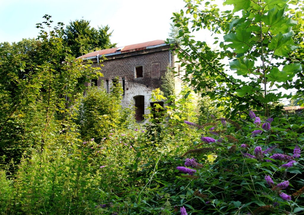 Zwischen Chorweiler und Fühlingen liegt direkt an der Neusser Landstraße ein großartiges altes Haus. Seit 2004 ist die Restaurierung geplant ist.