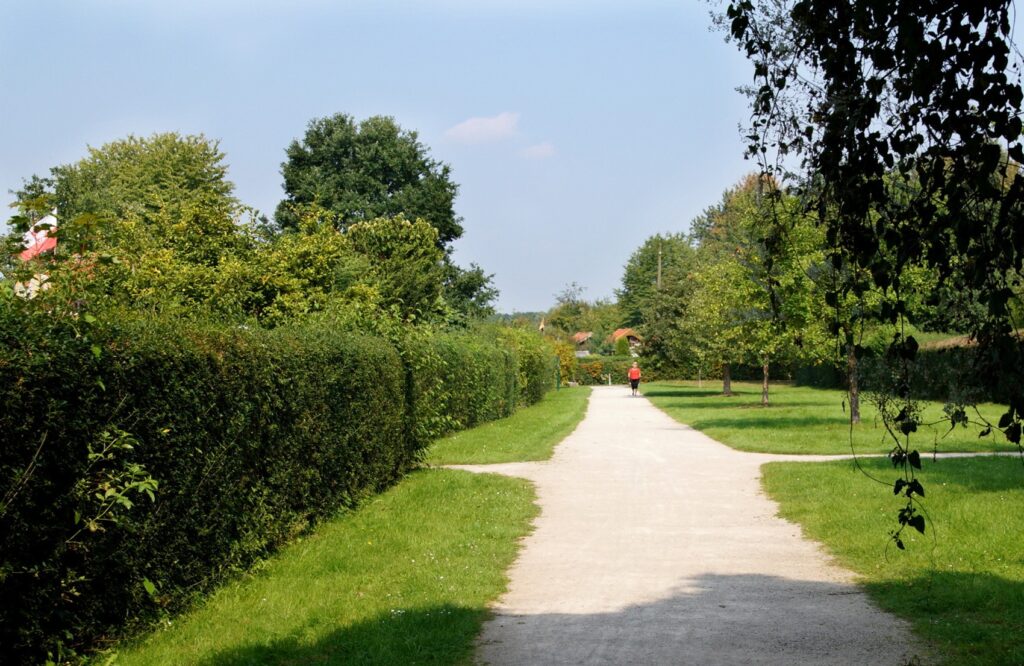 Obwohl es im Stadtgebiet Chorweiler viele Flächen gibt, sind die Kleingarten- oder Schrebergarten-Vereine nicht so häufig wie man denkt.
