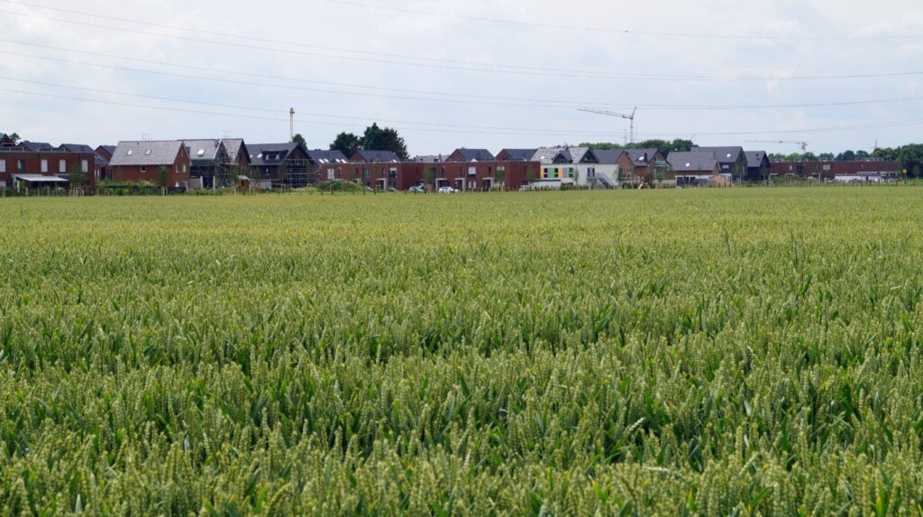 Roggendorf/Thenhoven ist flächenmäßig der zweitgrößte Stadtteil Kölns, weil weite Flächen und Teile des Waldgebietes Chorbusch dazu gehören.