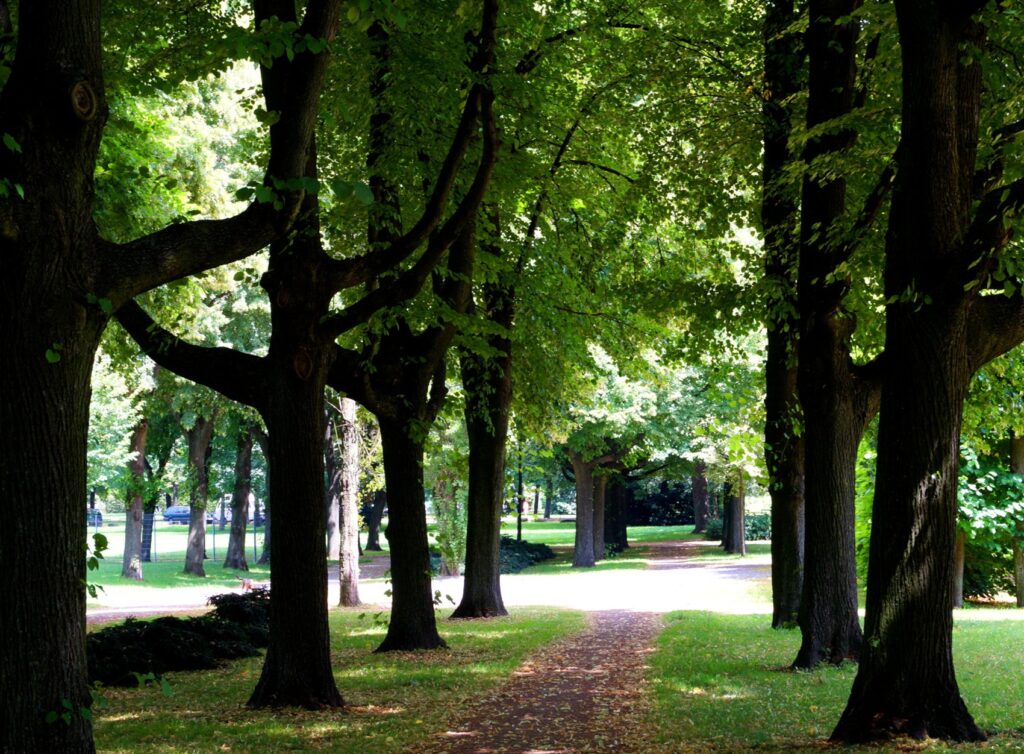 Das Nippeser Tälchen, der Nordpark und der Johannes-Giesberts-Park haben übrigens Freilaufflächen für Hunde ausgewiesen.