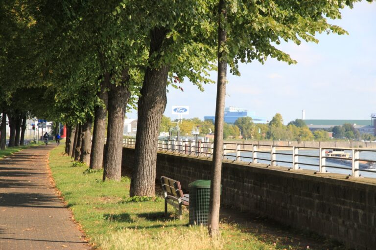 Sie suchen nach einem Immobilienmakler für Köln-Niehl der Ihr Haus oder Eigentumswohnung sicher und stressfrei verkaufen kann?