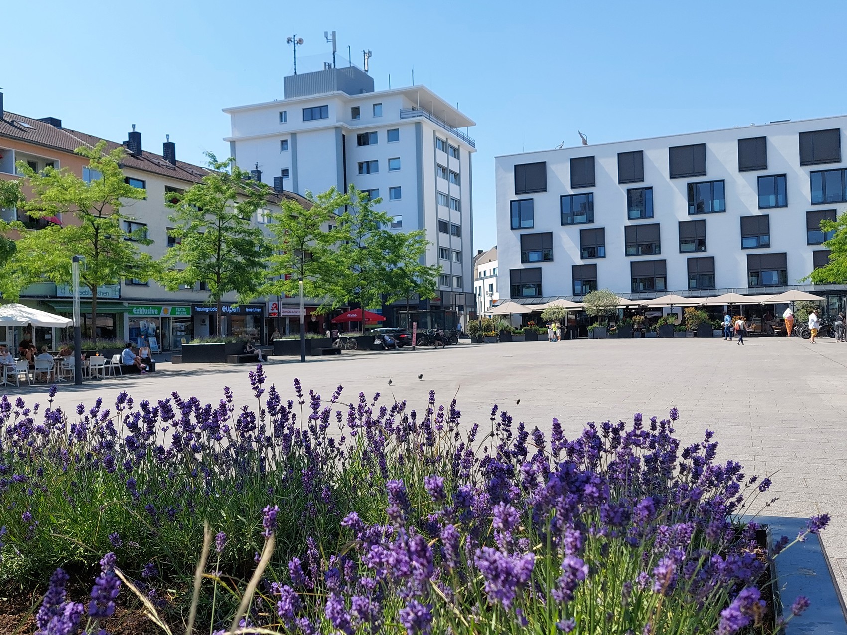 Sie suchen nach einem Immobilienmakler für Köln-Rodenkirchen der Ihr Haus oder Eigentumswohnung sicher und stressfrei verkaufen kann?
