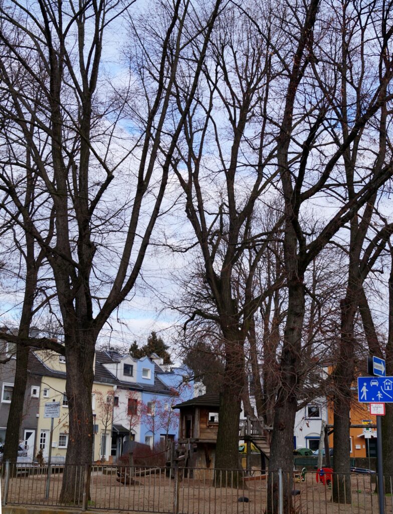 Mauenheim ist der flächenmäßig kleinste Stadtteil Kölns und auch deswegen einer der homogensten. Heute ist Mauenheim ein sehr beliebter Stadtteil.