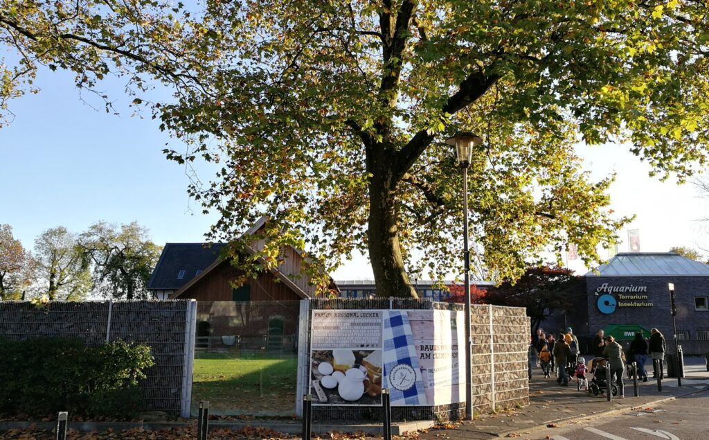 Neben den Außenanlagen und den Tierhäusern sind Gebäude entstanden, so dass der Zoo auch bei schlechtem Wetter einen Besuch wert ist.